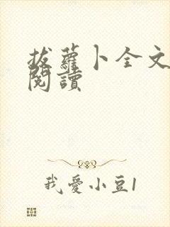 书籍封面