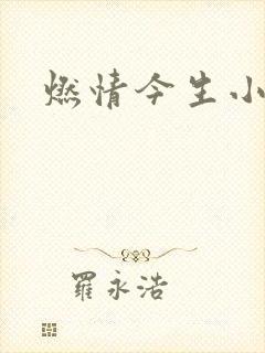 燃情今生小说封面
