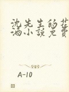 沈先生的花式调酒小说免费阅读