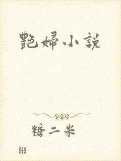 艳妇小说