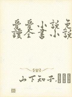 爱爱小说免费阅读全书小说乡村