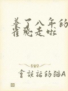 养了八年的金丝雀飞走啦