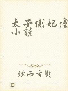 太子侧妃傻乎乎小说封面
