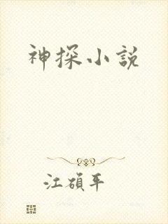 神探小说