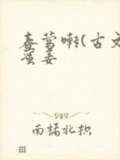 书籍封面