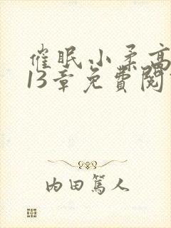 催眠小柔高达第13章免费阅读