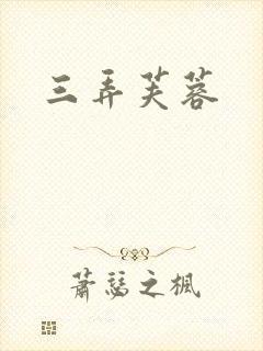 三弄芙蓉封面