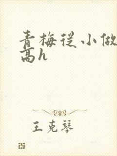 青梅从小做到大高h
