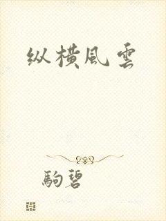 纵横风云封面