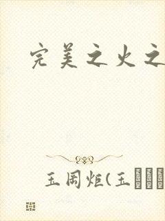 完美之火之灰烬封面