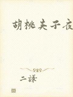 胡桃夹子夜未眠封面