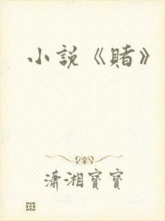 小说《赌》
