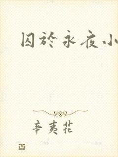 囚于永夜小说