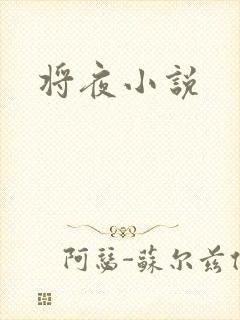 将夜小说封面