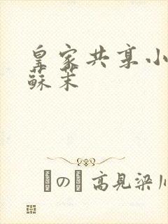 皇家共享小公主苏茉封面