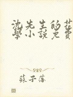 沈先生的花式教学小说免费