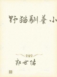 野猫驯养小说
