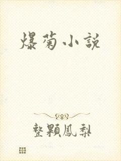 爆菊小说