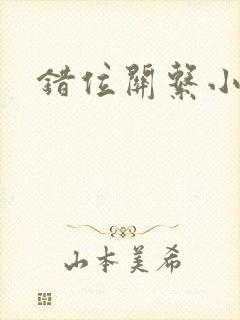 错位关系小说封面