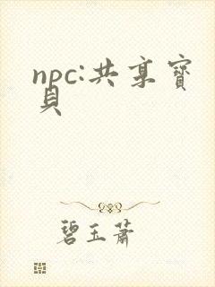 npc:共享宝贝