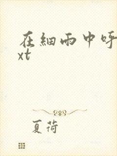 在细雨中呼喊txt