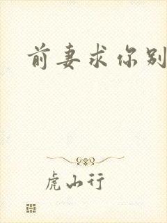 前妻求你别改嫁