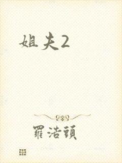 姐夫2