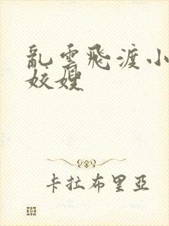 乱云飞渡小说之姣嫂