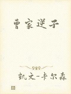 曹家逆子
