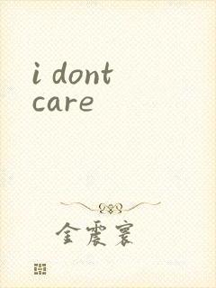 i dont care封面