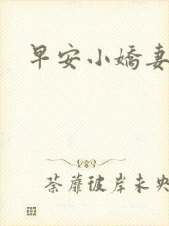 早安小娇妻