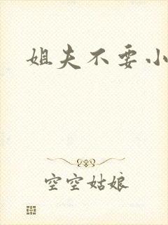 姐夫不要小说