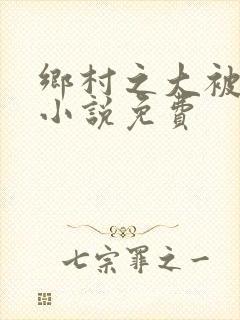 乡村之大被同眠小说免费