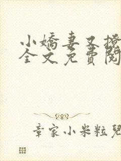 小娇妻又撩又甜全文免费阅读