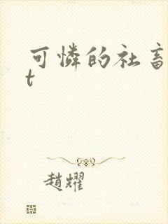 可怜的社畜txt