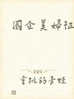 国企美妇征途