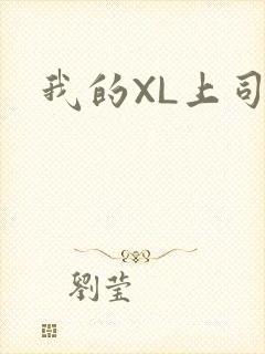 我的XL上司
