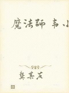 魔法师 韦小宝