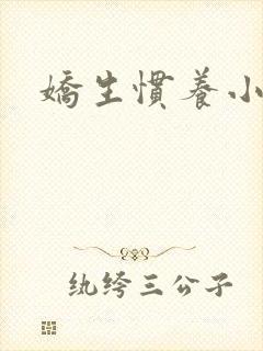 娇生惯养小说