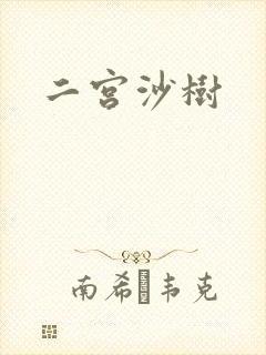 二宫沙树