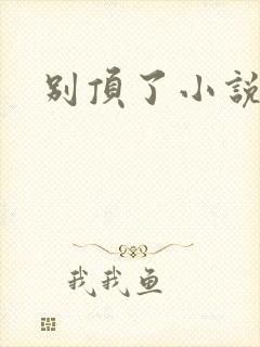 别顶了小说