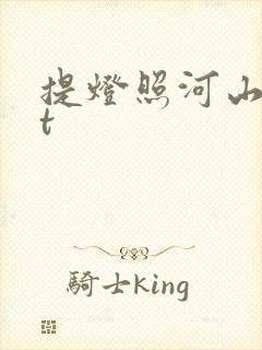 提灯照河山txt