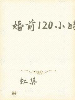 婚前120小时封面