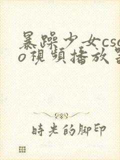 暴躁少女csgo视频播放器推荐