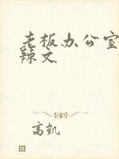 老板办公室系列辣文
