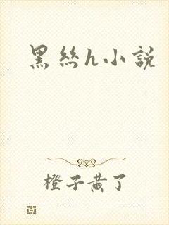 黑丝h小说