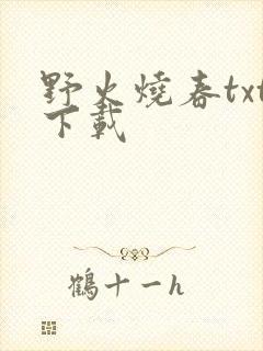 野火烧春txt下载