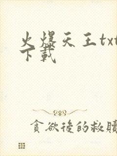 火爆天王txt下载