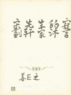 宋先生的宠妻计划轩家沐言