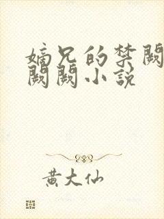 嫡兄的禁阙 华阙阙小说封面